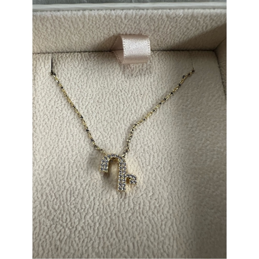 Icelink Necklace Armenian Letter “D”